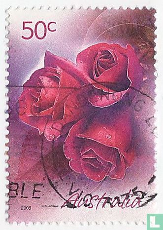 Rote Rosen