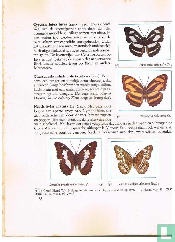 De vlinders van Java