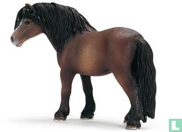 Dartmoor pony mare