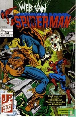 Web van Spiderman 33 - Image 1