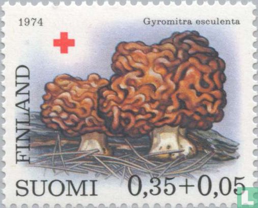 Red Cross-Mushrooms