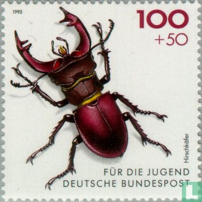 Käfer