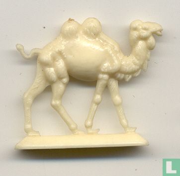 Kamel - Bild 1