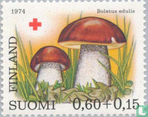 Red Cross Mushrooms