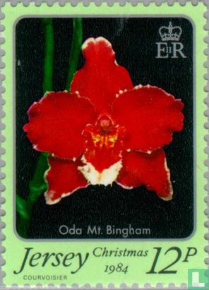 Weihnachten - Nationalorchideen