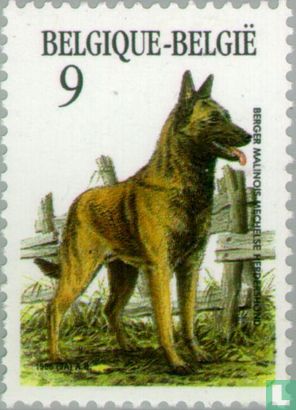 Belgische hondenrassen