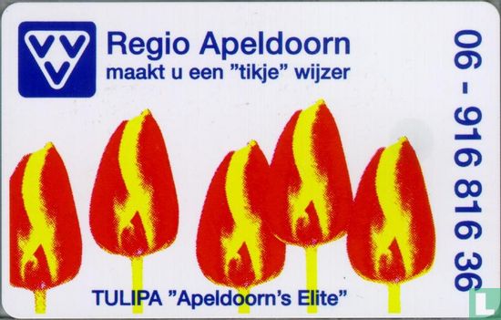 VVV Regio Apeldoorn