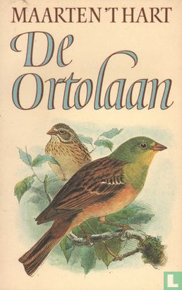 De ortolaan - Afbeelding 1