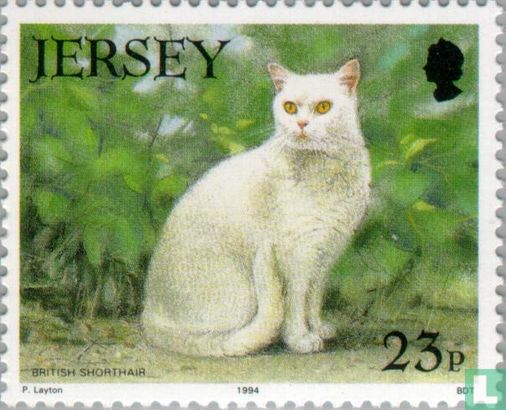 21 years of Jersey Cat Club