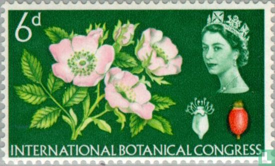 Botanical Congress