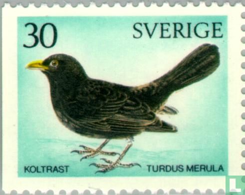 Oiseaux suédois
