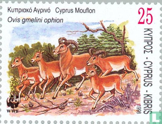 WWF - De Cyprus Moeflon