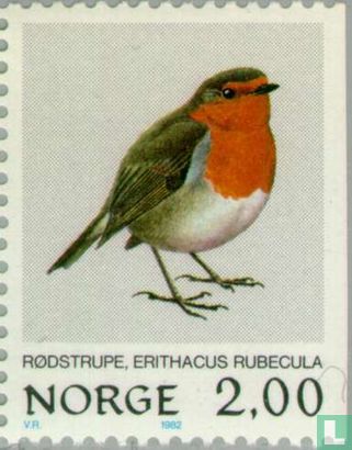 Oiseaux - Robin