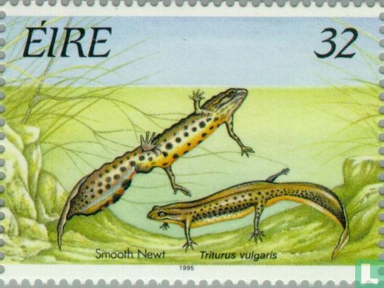 Reptilien und Amphibien