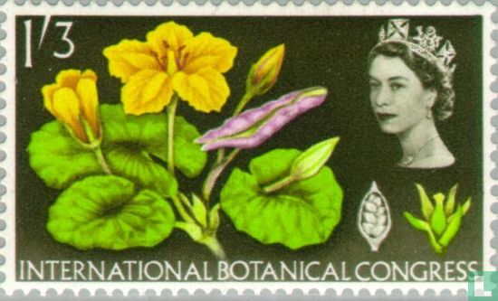 Botanisch Congres - Afbeelding 1