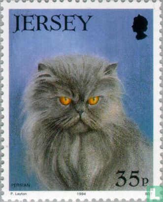 21 Jahre Jersey Cat Club