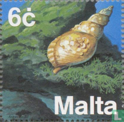 Fauna Middellandse Zee