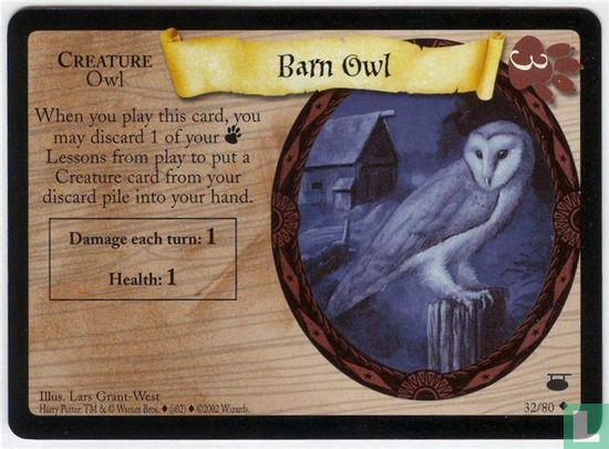 Barn Owl - Afbeelding 1
