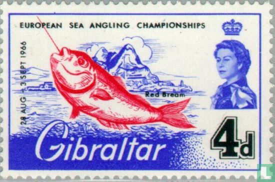 Europees kampioenschap Vissen