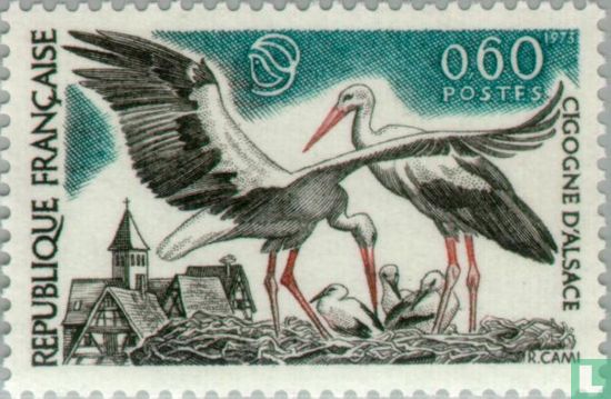 Nature protection- Storks