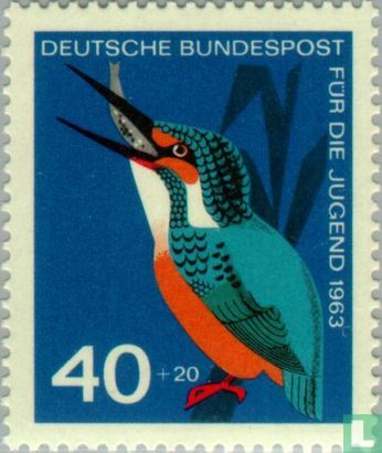 Native birds - Image 1