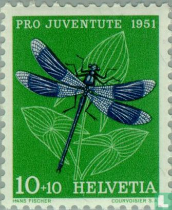 Insectes - Demoiselle bleue