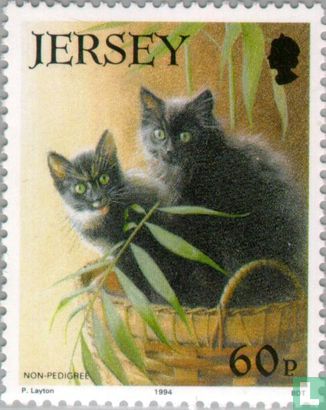 21 jaar Jersey Cat Club