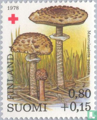 Red Cross - Mushrooms
