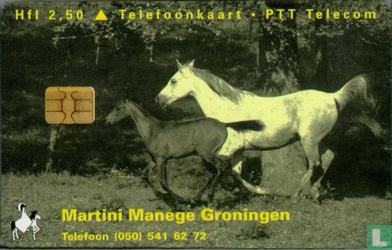 Martini Manege Groningen  - Afbeelding 1