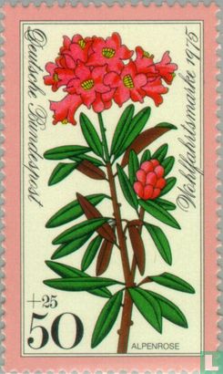 Alpenbloemen