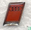 Audi sport pin