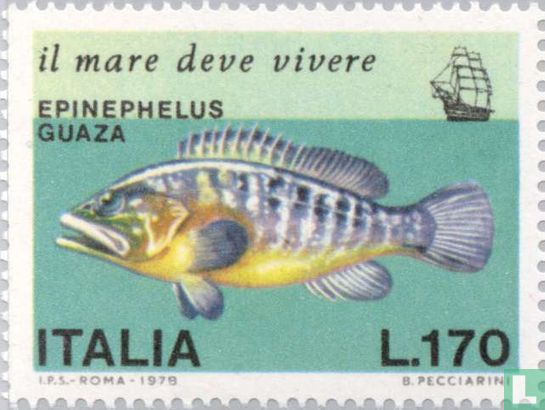 Tiere des Mittelmeers