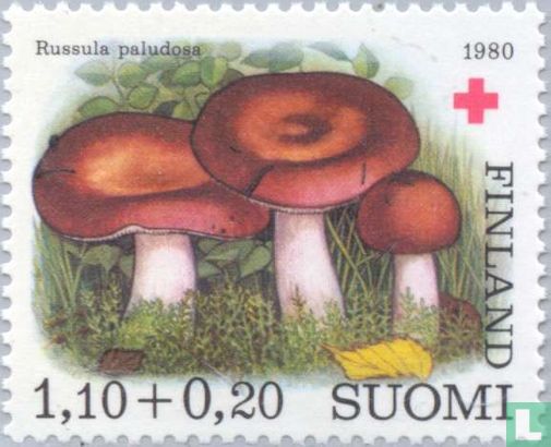 Red Cross - Mushrooms