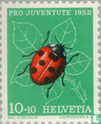 Insectes - Coccinelle 