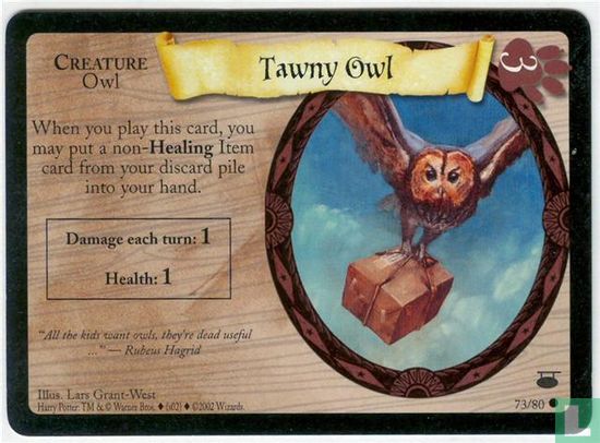 Tawny Owl - Afbeelding 1