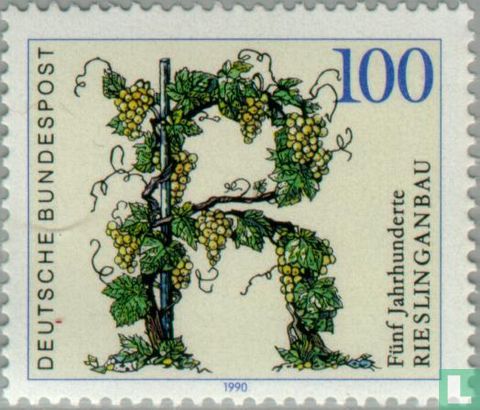 Rieslinger viticulture