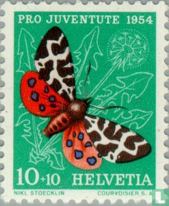 Schmetterlinge und Insekten