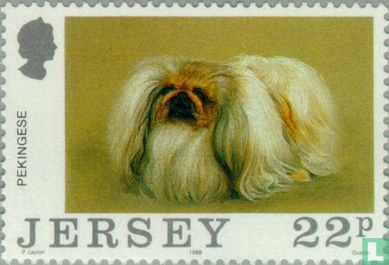 100 Jahre Jersey Dog Club – Hunde