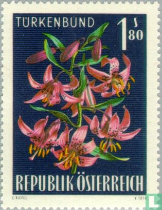 Alpine Flora