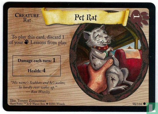 Pet Rat - Afbeelding 1
