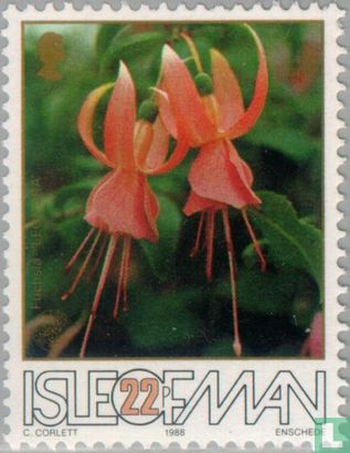 Fuchsia Society, 1938-1988