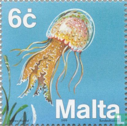 Fauna Mediterranean Sea