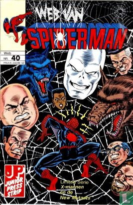 Web van Spiderman 40 - Image 1