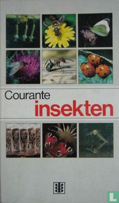 Courante insekten - Afbeelding 1