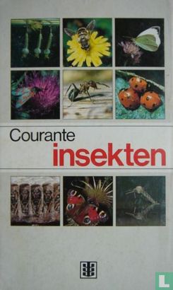 Courante insekten - Afbeelding 2