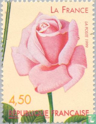 Weltkongress für alte Rosenzüchtungen