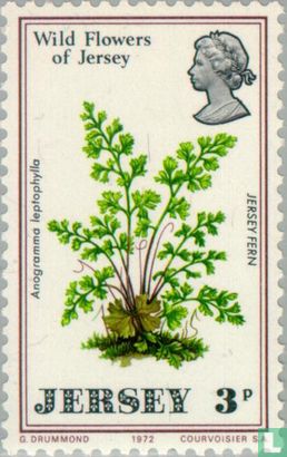 Nationale Wildblumen