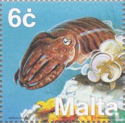 Fauna Mittelmeer
