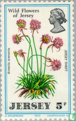 Nationale Wildblumen