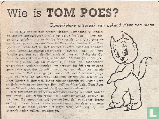 Wie is Tom Poes - Image 1